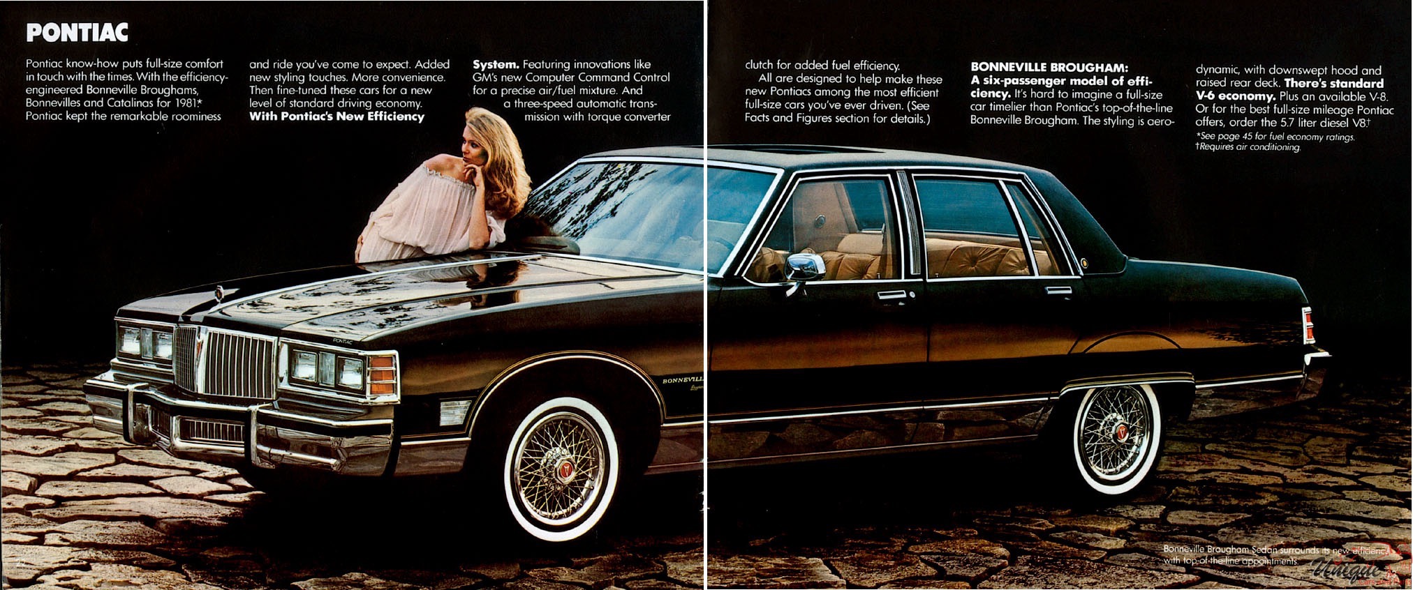 1981 Pontiac Brochure Page 10